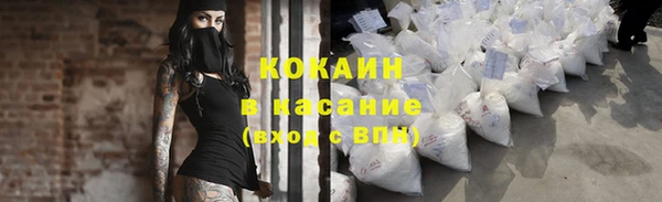 ПСИЛОЦИБИНОВЫЕ ГРИБЫ Верея
