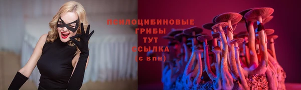 ПСИЛОЦИБИНОВЫЕ ГРИБЫ Верея