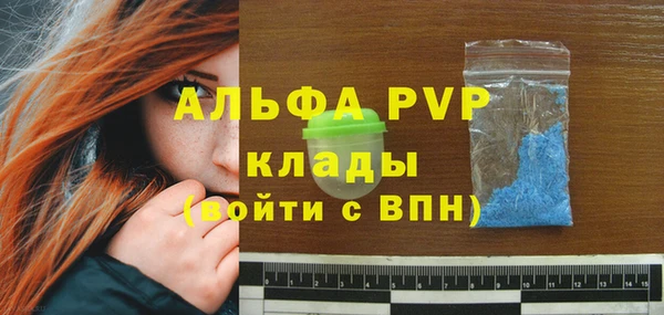 ПСИЛОЦИБИНОВЫЕ ГРИБЫ Верея