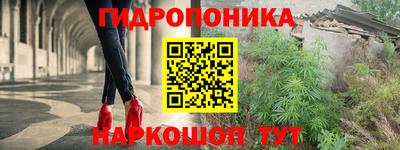 спиды Заводоуковск