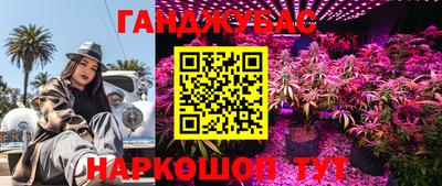 стафф Заволжье