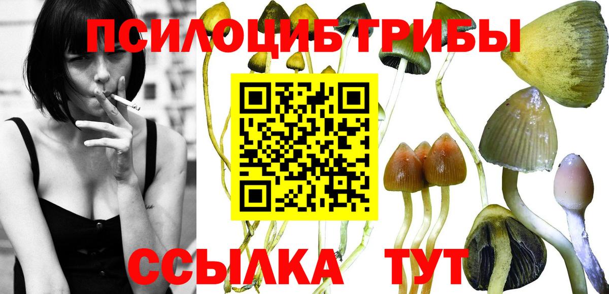 цены   Псилоцибиновые грибы мухоморы  Вход с VPN  Псилоцибиновые грибы MAGIC MUSHROOMS  Россошь 